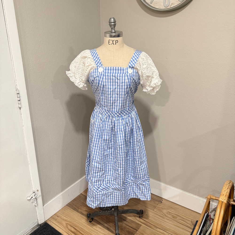 Wizard of Oz Dorothy Outfit. Blue and White Gingham Dress. XXL Adult
